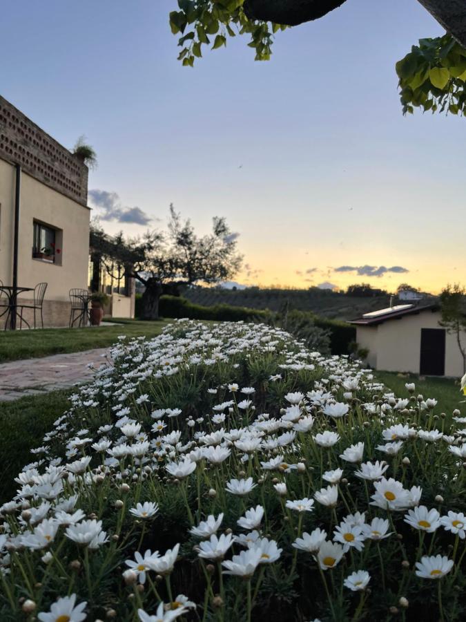 Agriturismo La Rustica Pianella  Exterior foto